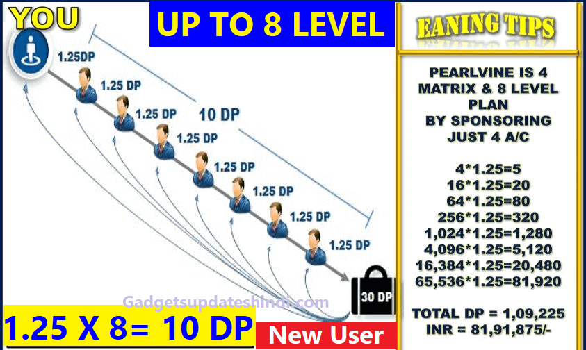 Pearlvine International 30 DP Distribution