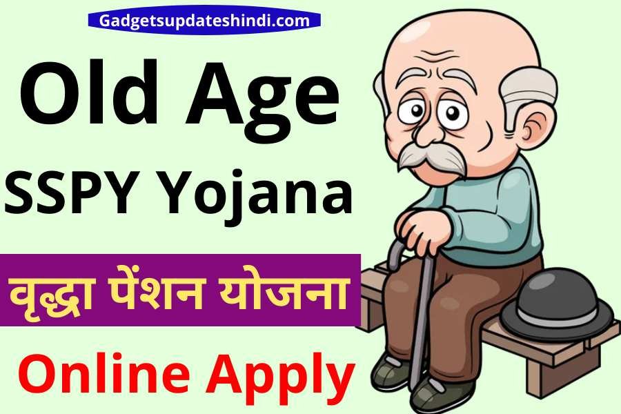 Vridha Pension Apply Today 2024