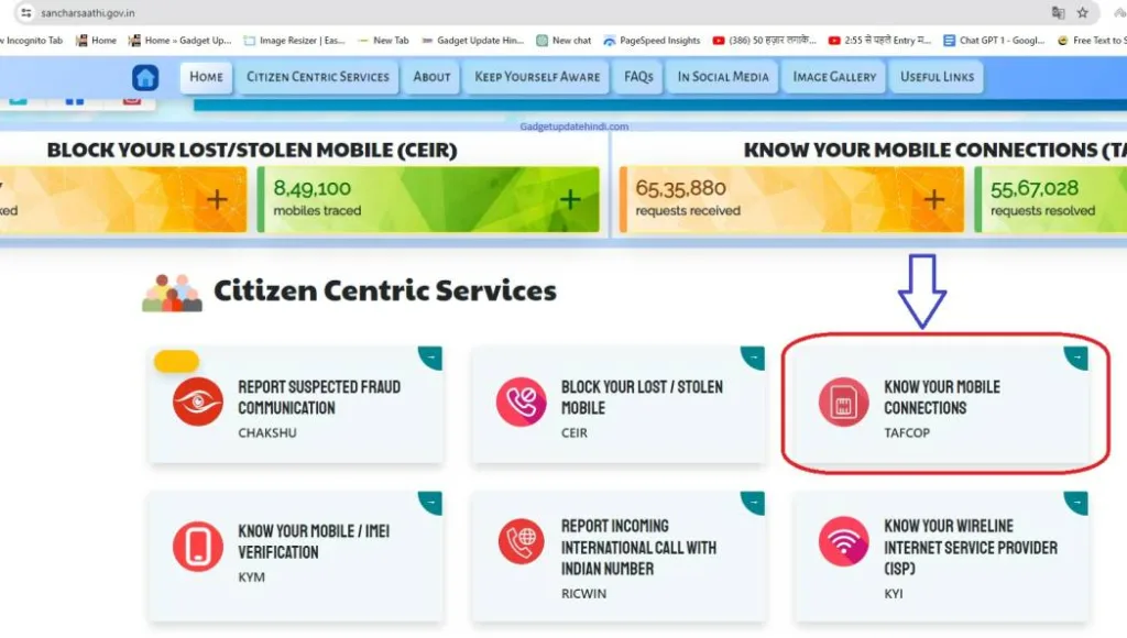 TAFCOP Portal Check Active Sim Status